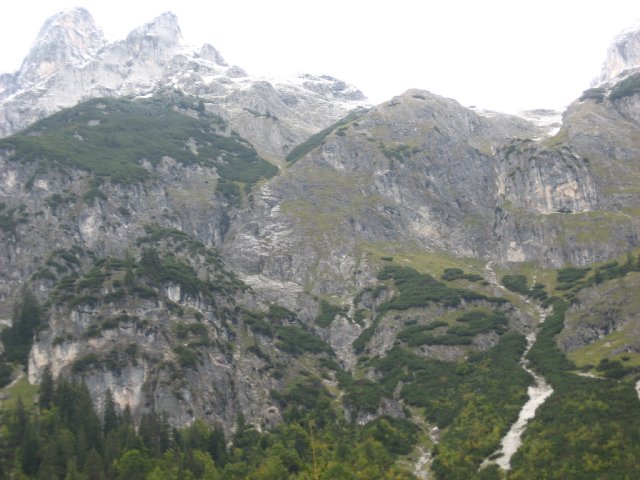 IMG_0439