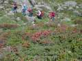 PICT0011